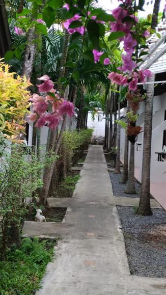 فندق هاسييندا فوكيت Patong المظهر الخارجي الصورة